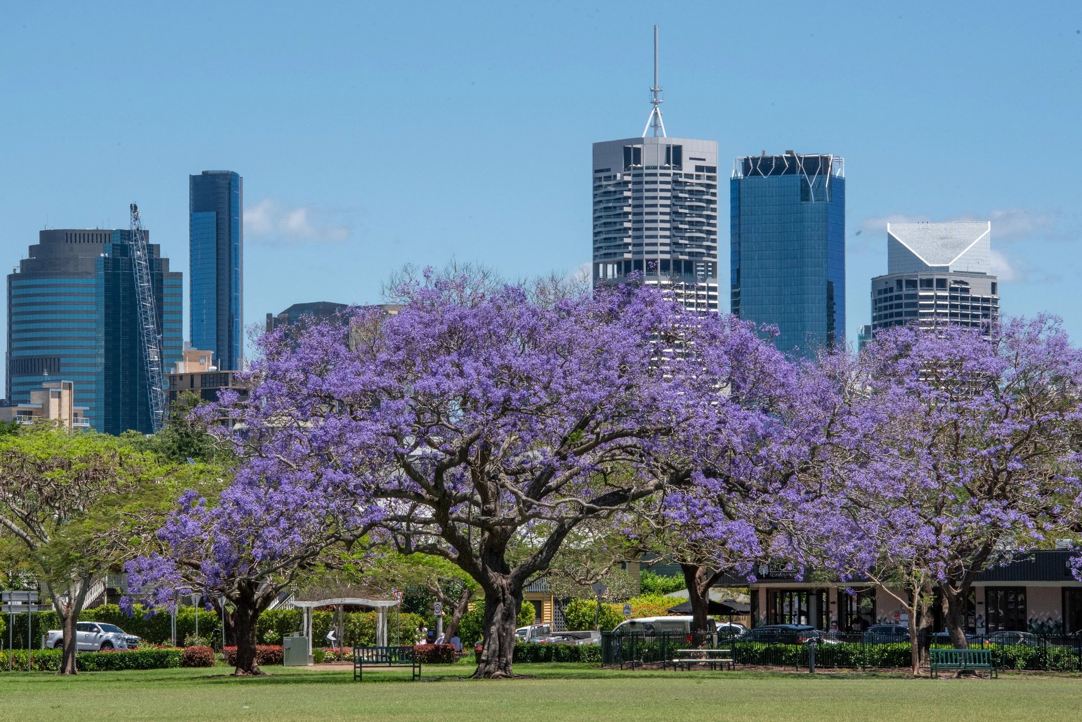Australian travel and food local cuisine cityscape